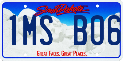 SD license plate 1MSB06