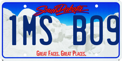 SD license plate 1MSB09