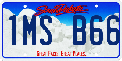 SD license plate 1MSB66