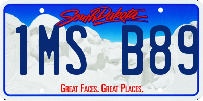 SD license plate 1MSB89
