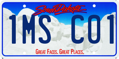 SD license plate 1MSC01