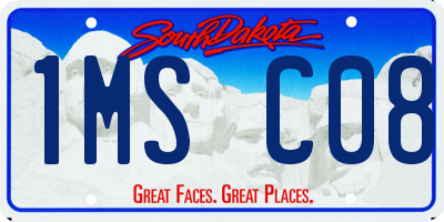 SD license plate 1MSC08