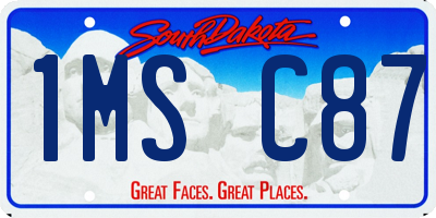 SD license plate 1MSC87