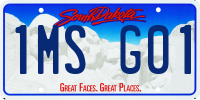 SD license plate 1MSG01