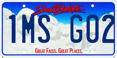 SD license plate 1MSG02