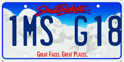 SD license plate 1MSG18