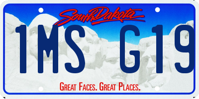 SD license plate 1MSG19
