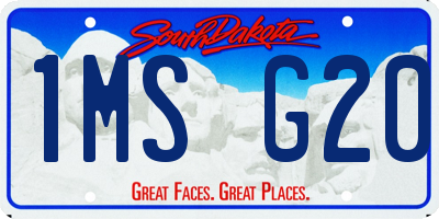 SD license plate 1MSG20