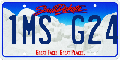 SD license plate 1MSG24