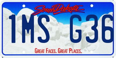 SD license plate 1MSG36