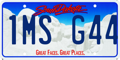 SD license plate 1MSG44