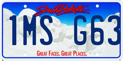 SD license plate 1MSG63