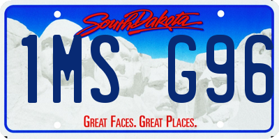 SD license plate 1MSG96