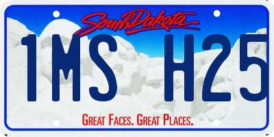 SD license plate 1MSH25