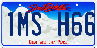 SD license plate 1MSH66