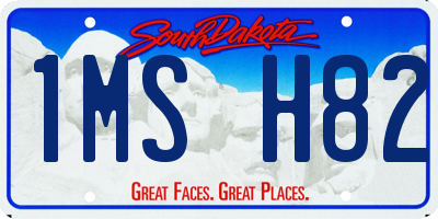 SD license plate 1MSH82