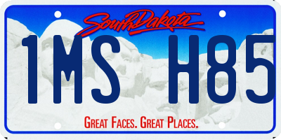 SD license plate 1MSH85