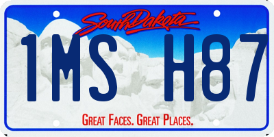 SD license plate 1MSH87