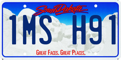 SD license plate 1MSH91