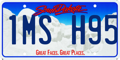 SD license plate 1MSH95