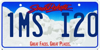 SD license plate 1MSI20