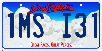 SD license plate 1MSI31