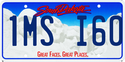 SD license plate 1MSI60