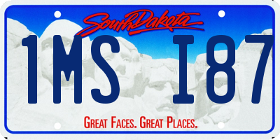 SD license plate 1MSI87