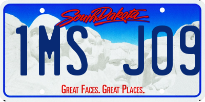 SD license plate 1MSJ09