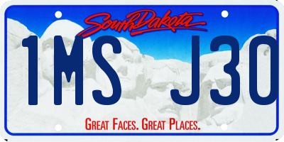 SD license plate 1MSJ30