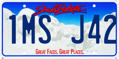 SD license plate 1MSJ42