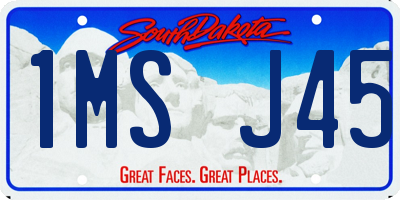 SD license plate 1MSJ45