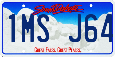 SD license plate 1MSJ64