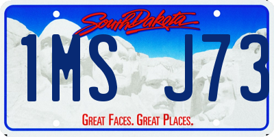 SD license plate 1MSJ73
