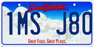 SD license plate 1MSJ80