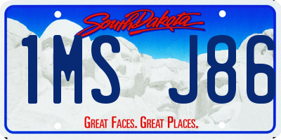 SD license plate 1MSJ86