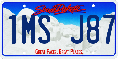 SD license plate 1MSJ87