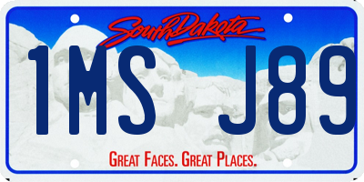 SD license plate 1MSJ89