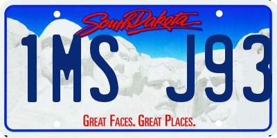 SD license plate 1MSJ93