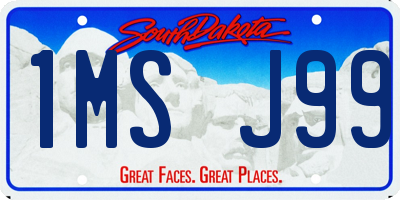 SD license plate 1MSJ99