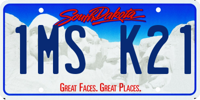 SD license plate 1MSK21