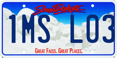 SD license plate 1MSL03