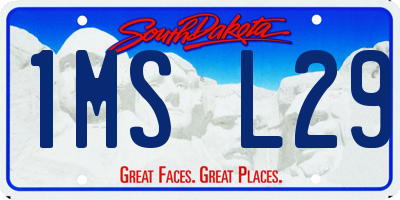 SD license plate 1MSL29