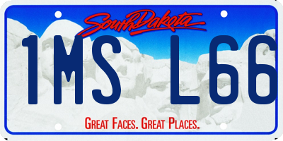 SD license plate 1MSL66