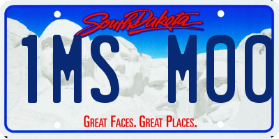 SD license plate 1MSM00