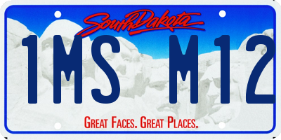 SD license plate 1MSM12