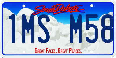 SD license plate 1MSM58