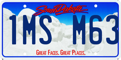 SD license plate 1MSM63