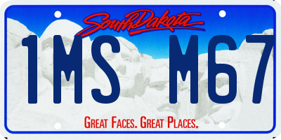 SD license plate 1MSM67