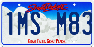 SD license plate 1MSM83